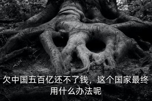欠中國五百億還不了錢，這個國家最終用什么辦法呢