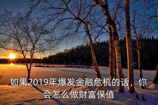 如果2019年爆發(fā)金融危機的話，你會怎么做財富保值