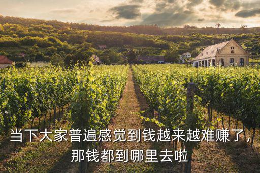 當(dāng)下大家普遍感覺到錢越來越難賺了，那錢都到哪里去啦