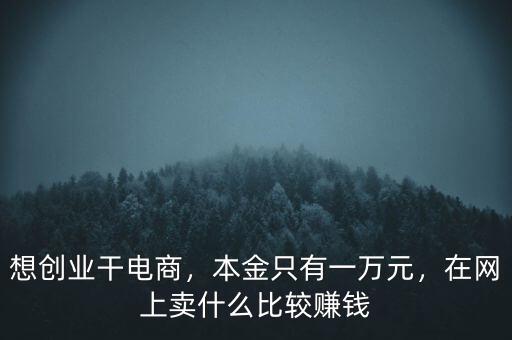 想創(chuàng)業(yè)干電商，本金只有一萬元，在網(wǎng)上賣什么比較賺錢