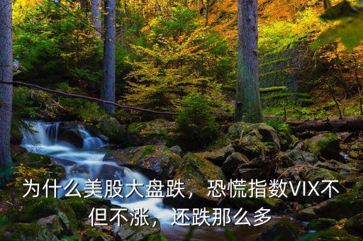 為什么美股大盤跌，恐慌指數(shù)VIX不但不漲，還跌那么多