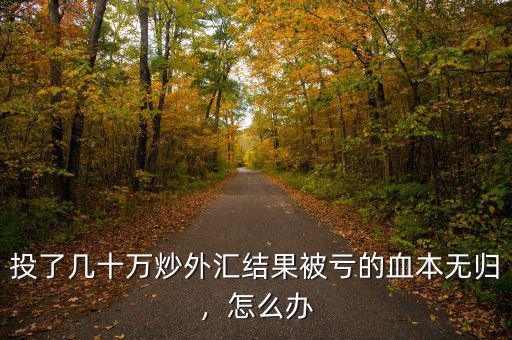 投了幾十萬炒外匯結(jié)果被虧的血本無歸，怎么辦