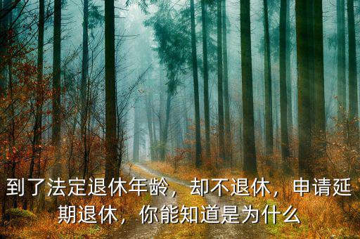 到了法定退休年齡，卻不退休，申請延期退休，你能知道是為什么