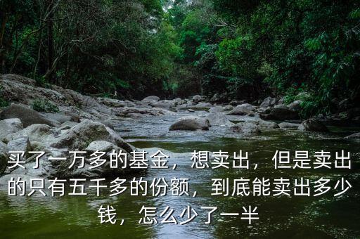 買了一萬多的基金，想賣出，但是賣出的只有五千多的份額，到底能賣出多少錢，怎么少了一半