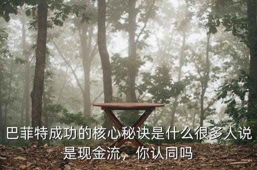 巴菲特成功的核心秘訣是什么很多人說是現(xiàn)金流，你認同嗎