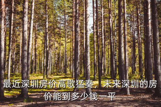最近深圳房價高歌猛奏，未來深圳的房價能到多少錢一平
