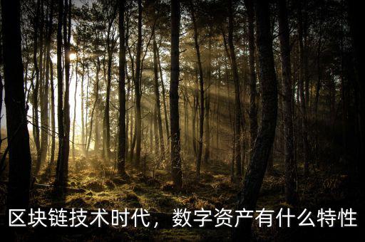 區(qū)塊鏈技術(shù)時代，數(shù)字資產(chǎn)有什么特性