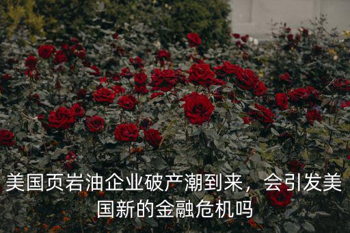 美國頁巖油企業(yè)破產(chǎn)潮到來，會引發(fā)美國新的金融危機嗎