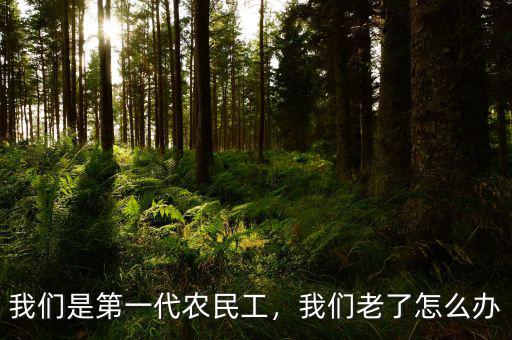 我們是第一代農(nóng)民工，我們老了怎么辦