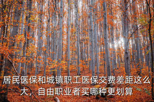 居民醫(yī)保和城鎮(zhèn)職工醫(yī)保交費差距這么大，自由職業(yè)者買哪種更劃算