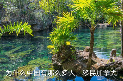 為什么中國有那么多人，移民加拿大