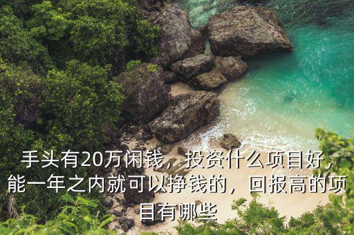 手頭有20萬(wàn)閑錢(qián)，投資什么項(xiàng)目好，能一年之內(nèi)就可以掙錢(qián)的，回報(bào)高的項(xiàng)目有哪些