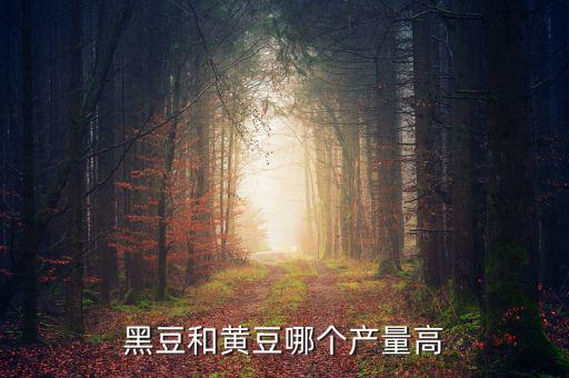 黑豆和黃豆哪個產量高