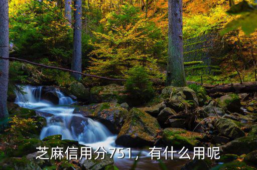 芝麻信用分751，有什么用呢