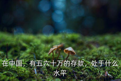 在中國，有五六十萬的存款，處于什么水平