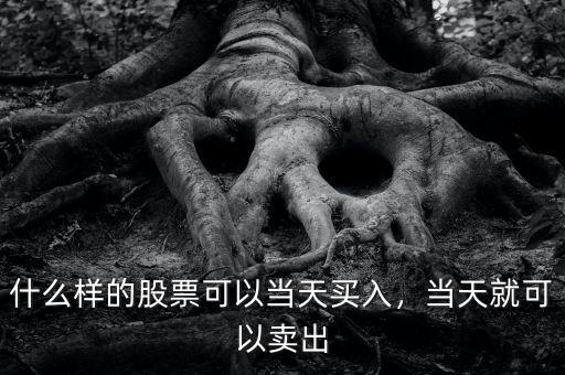 什么樣的股票可以當(dāng)天買入，當(dāng)天就可以賣出