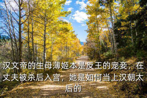 漢文帝的生母薄姬本是反王的寵妾，在丈夫被殺后入宮，她是如何當(dāng)上漢朝太后的
