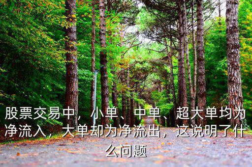 股票交易中，小單、中單、超大單均為凈流入，大單卻為凈流出，這說明了什么問題