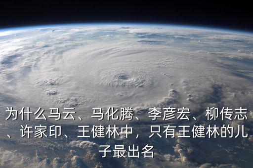 為什么馬云、馬化騰、李彥宏、柳傳志、許家印、王健林中，只有王健林的兒子最出名