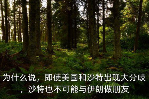 為什么說，即使美國和沙特出現(xiàn)大分歧，沙特也不可能與伊朗做朋友