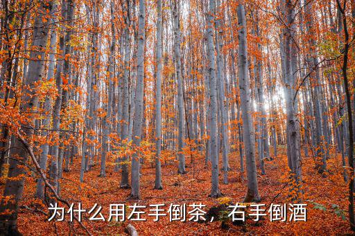 為什么用左手倒茶，右手倒酒