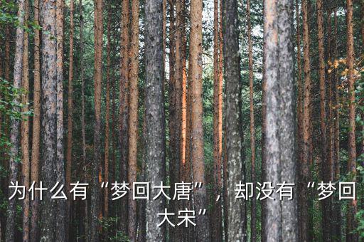 為什么有“夢回大唐”，卻沒有“夢回大宋”