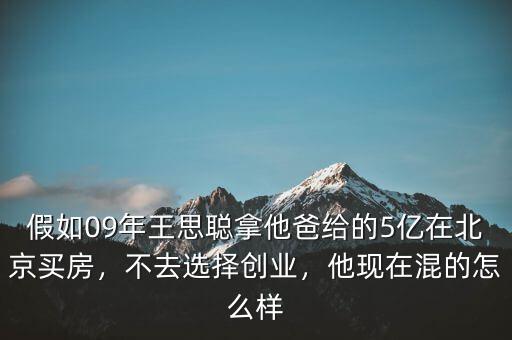 假如09年王思聰拿他爸給的5億在北京買房，不去選擇創(chuàng)業(yè)，他現(xiàn)在混的怎么樣
