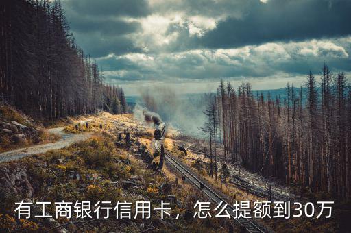 有工商銀行信用卡，怎么提額到30萬(wàn)