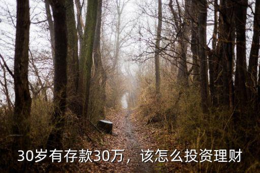30歲有存款30萬(wàn)，該怎么投資理財(cái)