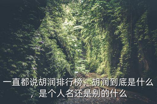 一直都說胡潤排行榜，胡潤到底是什么，是個(gè)人名還是別的什么