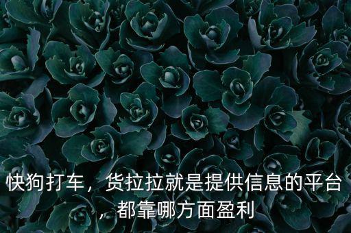 快狗打車，貨拉拉就是提供信息的平臺，都靠哪方面盈利