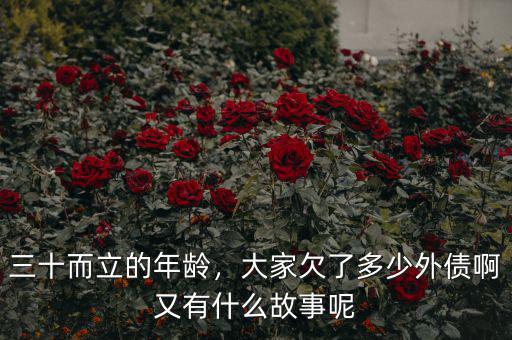 三十而立的年齡，大家欠了多少外債啊又有什么故事呢