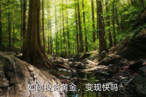 如何投資黃金，變現(xiàn)快嗎