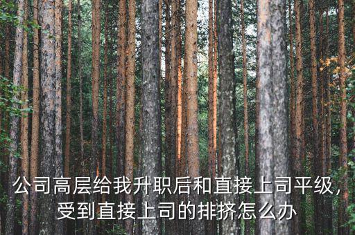 公司高層給我升職后和直接上司平級，受到直接上司的排擠怎么辦