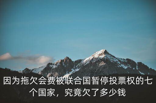 因?yàn)橥锨窌M(fèi)被聯(lián)合國暫停投票權(quán)的七個國家，究竟欠了多少錢