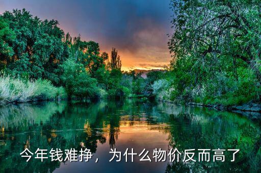 今年錢難掙，為什么物價(jià)反而高了