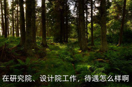 在研究院、設計院工作，待遇怎么樣啊