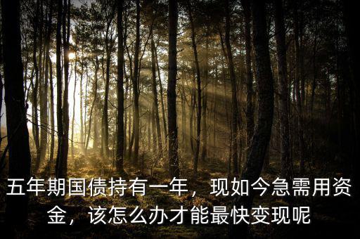 五年期國債持有一年，現(xiàn)如今急需用資金，該怎么辦才能最快變現(xiàn)呢