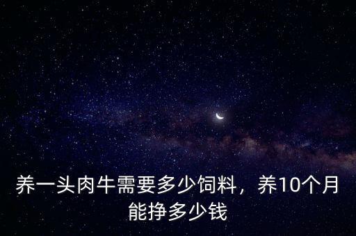 養(yǎng)一頭肉牛需要多少飼料，養(yǎng)10個(gè)月能掙多少錢(qián)