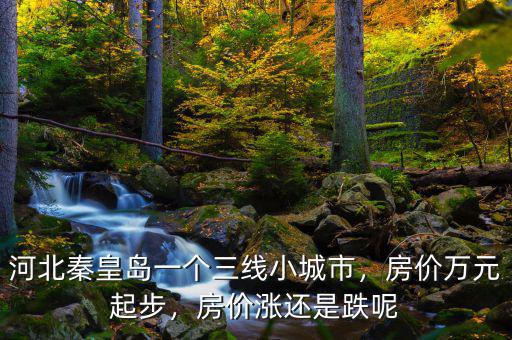 河北秦皇島一個三線小城市，房價萬元起步，房價漲還是跌呢