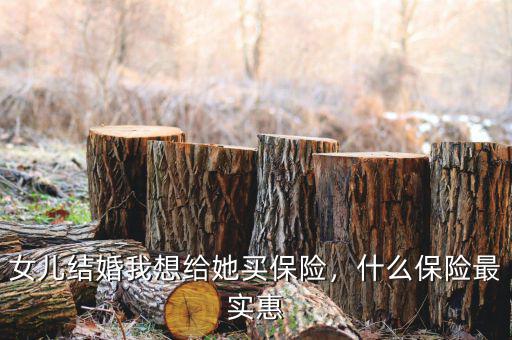 女兒結婚我想給她買保險，什么保險最實惠