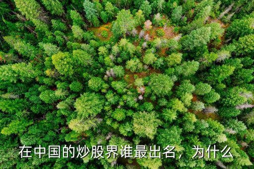 在中國的炒股界誰最出名，為什么
