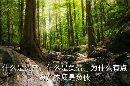 什么是資產(chǎn)，什么是負債，為什么有點資產(chǎn)本質(zhì)是負債