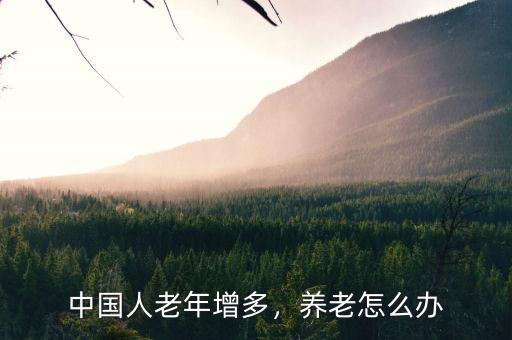 中國(guó)人老年增多，養(yǎng)老怎么辦