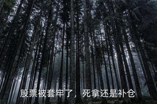 股票被套牢了，死拿還是補(bǔ)倉(cāng)