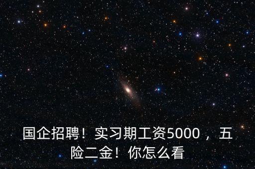 國企招聘！實習(xí)期工資5000 ，五險二金！你怎么看
