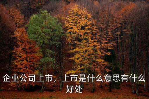 企業(yè)公司上市，上市是什么意思有什么好處