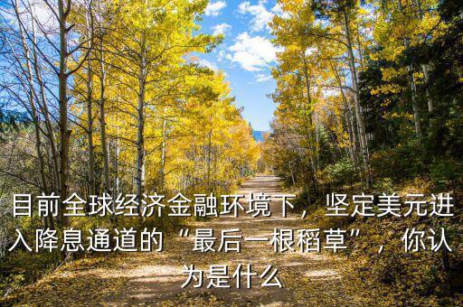 目前全球經(jīng)濟金融環(huán)境下，堅定美元進(jìn)入降息通道的“最后一根稻草”，你認(rèn)為是什么