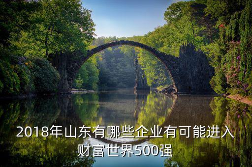 2018年山東有哪些企業(yè)有可能進(jìn)入財富世界500強(qiáng)