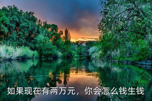 如果現(xiàn)在有兩萬元，你會(huì)怎么錢生錢